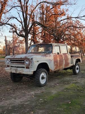 1 of 3 #travelette s on tik tok🤣 #cornbinder #binder #international #internationalharvester #idi #73idi #diesel #ford #f250 #travelette #4x4swap #chassisswap #vintagetruck #ihtrucks #ihtruck #internationalharvestertrucks #sevenletterspreader #rattybutclassy #ih #ididiesel #harvester #ihtravelette #internationalpickup #stepside #rustbucket #incrustwetrust #rustytrucks #ugly #antiquetruck 