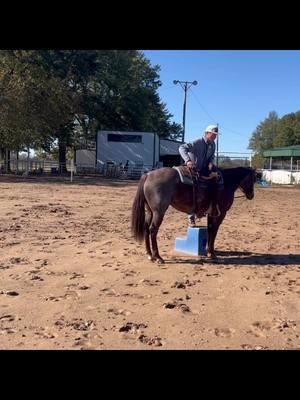 Flora is just what you want! Sweet, friendly, handy and broke! [Link in Bio: Sparrow Spectacular] #cowponysales #cowpony  #ranchhorse #horseforsale  #ranch   #westernhorse  #onlinehorsesale #trailhorse #ranchlife #ranching   #redroan #ranchversatility #familyhorse #versatility #4h #westerndressage #roanhorse @Molly Roberts-Sparrow 