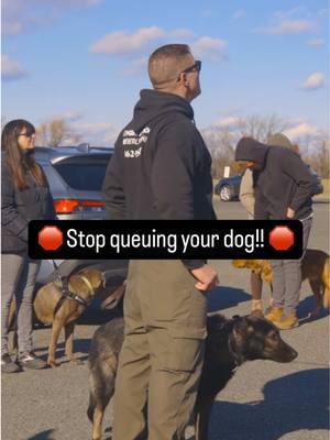 🛑 Stop queuing your dog! 🛑 😫 Is your dog dragging you through the door to begin the walk? 😢 Does he or she whine, cry or pant when you’re in the car?  👉 It all starts way before the actual event. If you announce feeding time or park visits energetically or enthusiastically you are attaching instability to said event, sounds and objects.  (For example, “Go for a ride,”keys and car and the ride itself) 🤪 When we announce feeding time to Fluffy,  the dog experiences arousal, aka epinephrine production, then we introduce food which produces a dopamine response, hence rewarding the dog for its arousal or hyper excitement!  🐕 Dogs process the world through their snouts. They’re a NON VERBAL species. They know sounds. The sound of the food bag is all they need. 💪 Be a person of action for your dog! Just do what you’re going to do! Don’t say anything. This provides more clear and CALM or stable communication therefore making you the benevolent leader.  #leashtraining #offleashtraining #DogTraining #puppytraining #germanshepherd #doglovers #dogtrainer #obediancetraining #dogtrainingadvice #dogtrainingtips #gsdlife #gsdlove #DogTraining #dogloversclub #dogbehavior #dogmomlife #dogdad #doglife #bergencounty #bergencountynj