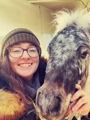 I love this horse!!! #fyp #fy #minihorse #miniaturehorse #horsetok #pets #animals #maxwell #mybaby #mybestfriend #iloveyou #leopardappaloosa #appaloosa