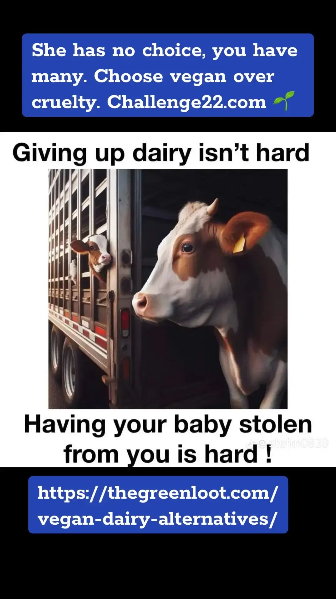 #animals #dairycows #have #nochoice #you #do . #choose #vegan #over #cruelty #plantbased #meat #dairy #food #fy 