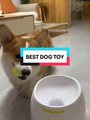 Your Dogs will Happy All Day with this BEST DOG TOY : Automatic Dog Ball Launcher, Dog Ball Thrower with 3 Launching Distance. #dog #dogs #dogsoftiktok #doglovers #fypシ゚ #viral #TikTokShop #tiktokshopfinds #tiktokmademebuyit #dogtoy #dogtoyreview 