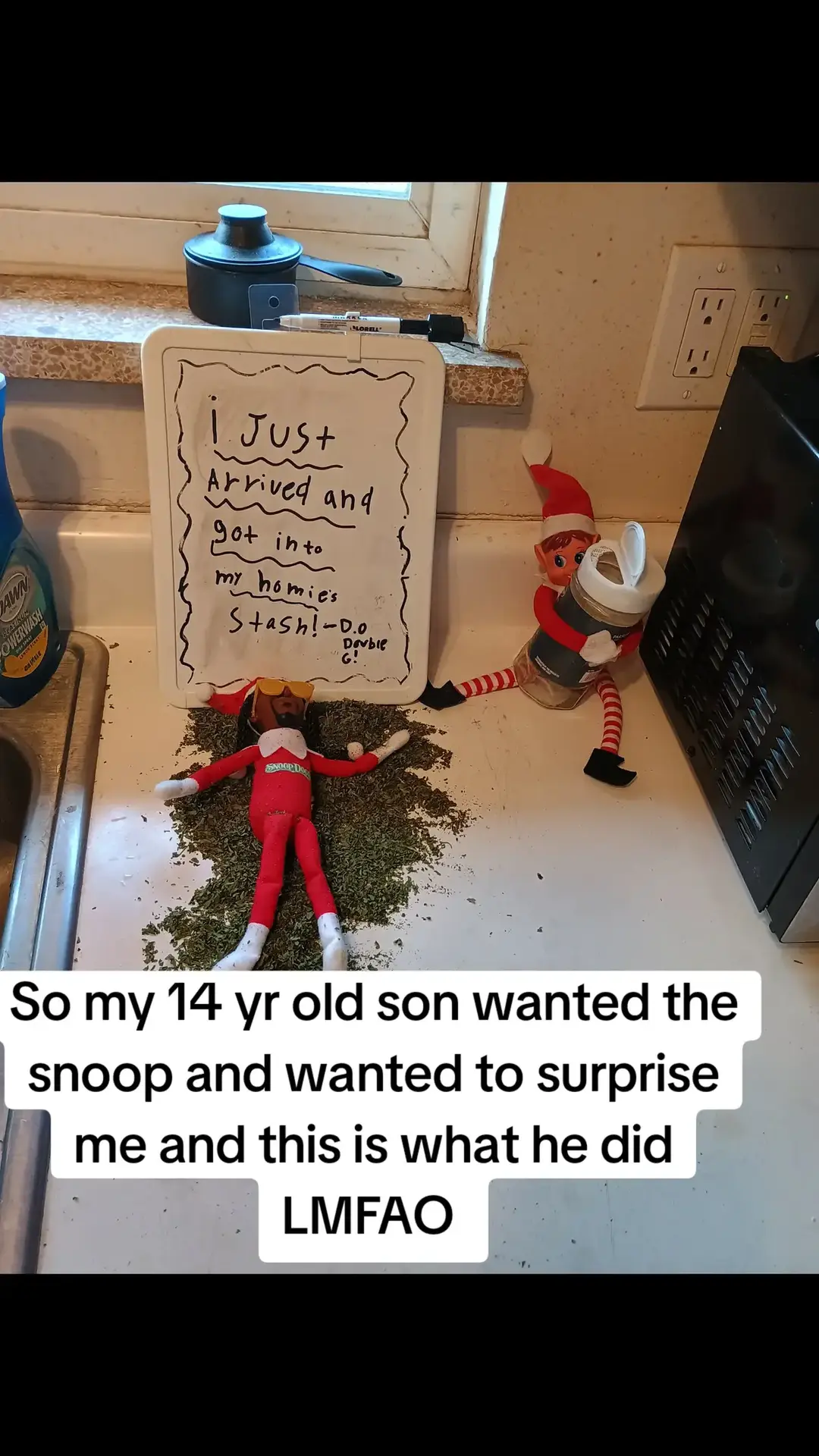 #viraltiktok #viralvideo #blowthisup #elfadventures #snooponastoop #snoopdogg #snoopdoggydogg #christmas #funideas #kids #14yearold #son @Snoop Dogg 