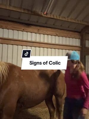 Colic is scary and I will never not check all of these things if they even have one small sign of colic! It takes five minutes and can mean the difference of your horse getting proper care for it or not.  This isn’t the best quality video cause it was dark in the barn bur you get the just. 💗 #horse #horsecolic #colic #horsecare #horsecaretips