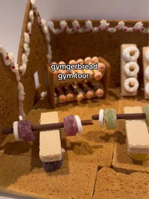 work of art x #gymsharkwomen #GymTok #gingerbread #gingerbreadhouse #christmas 