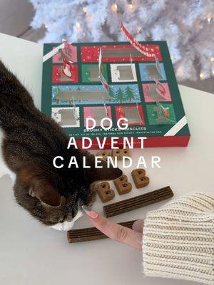 we filmed a christmas CAT treat video😾🎄 but bocce’s bakery pulled the entire stock from their tiktok shop listing. so here we are posting a DOG advent calendar, which is in stock. woof. 🐶   #adventcalendar #dogadventcalendar #giftforpet #giftfordog #christmas2024 #petsnack #asmrsounds #adventseason #dogtreats #boccesbakery #clingypet #WinterFinds #MadeMyYear #NewYearNewAura #tiktokshopfinds #tiktokshoppet #creatorsearchinsights    let’s be real, i’m a cat mom. so, this dog advent calendar? it was a reluctant addition to my cart—due to bocce’s “spend more for free shipping” requirement. twelve days, twelve treats, but only three flavors: rudolph’s roast biscuits, bac’n nutty bites, and some medium-sized brushy sticks. it’s giving minimal effort in maximal packaging. my cat winnifred thinks bocce’s bakery should consider pulling the stock back to their christmas cat treat bundle. 