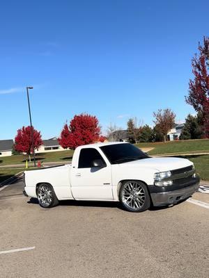 #paloma #truck #infamous #wheels #intros #low #singlecab #bubbleeye #xyzbca #tint #foryoupage ##satrucks 