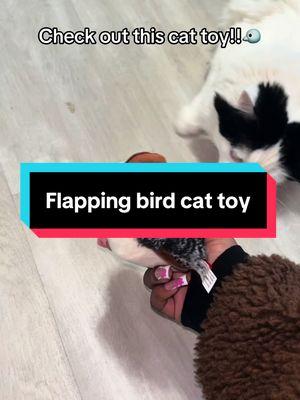 He LOVES this toy!! #cattoy #flappingbirdtoy #foryou #tiktokshopholidayhaul #spotlightfinds 