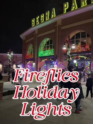 Fireflies Holiday Lights #columbiasc #southcarolina #lexingtonsc #irmosc #chapinsc #christmas #christmas2024 #lakemurraysc #westcolumbiasc 