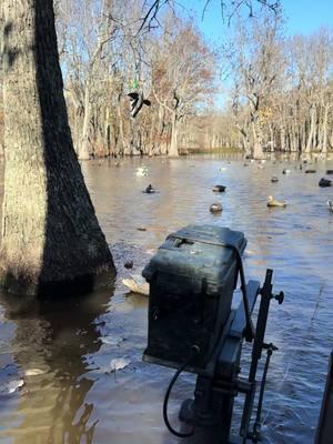 Provide the ripples and they will come! #duckhunting #waterfowl #ducks #duckseason #watermotion