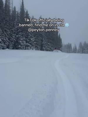 In honor of TikTok being banned soon, I’m going to post some of my favorite sled videos for the rest of the month to convince you why you should follow me on I G 😅🥰 #colorado #polaris #backcountrysnowmobiling 