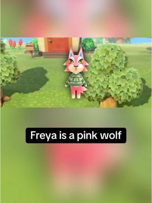 In Animal Crossing on December 14th, it’s Freya’s birthday! Happy birthday Freya! #animalcrossing #animalcrossingnewhorizons #animalcrossingswitch #switch #nintendo #nintendoswitch #switch2 #animalcrossingbirthday #December14th #December14 #Freya #animalcrossingFreya #Freyaanimalcrossing #acFreya #Freyaac #funfacts #didyouknow #animalfunfacts #wolf #wolves #cute #cuteanimals #gaming #GamingOnTikTok #gamingonyoutube #birthday #happybirthday #cozygames #cozygaming #cozygamer