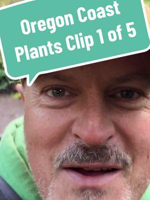 Clip 1 of 5: The Oregon Coast is a treasure, but many times we walk right past the beautiful plants that give so much to the cherished atmosphere. In this Guided Nature Connection experience, we'll take a closer look at the Plants of the Oregon Coast. Filmed at Oswald West State Park near Cannon Beach, Oregon. #kessiworld #natureconnect #mystictiktok #naturetiktok #naturemeditation #natureconnection