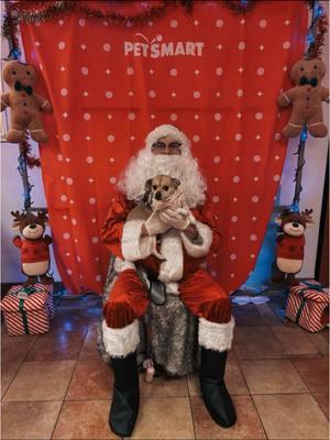 @PetSmart photos with santa! #dogmama #dogmom #dog #puppy #santapaws #petsmart #photoswithsanta 