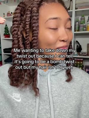 Based on a true story 😂 #naturalhair #blackgirlhairstyles #lowporosityhair #lowporosity #twistoutonnaturalhair #blackgirlnaturalhair #blackgirlhair #twistout 