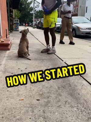 Amaru 9 months old now we came a long way i got him at 5 weeks old we been locked in training ever since 🤞🏾🤝🏾🩵 #merlebully #bluemerle #xl #xlbully #xlbullies #dogsoftiktok #pitbull #pitbulls #pit #pitpuppy #pitbullpuppy #pitbullsofficial #dogdad #doglover #doglove #cutepuppy #dogtok #puppytraining #DogTraining #puppy #dog #foryourpage #viral #training #explore #trending #furbaby #dogsofinstagram #dogtok #dogtiktok #dogtrainingtips #dogtrainer #dogtips #puppylove #puppytiktok #puppydog #puppycheck #puppylife #puppytok #puppys #fy #fypage #fypシ゚viral #fyppppppppppppppppppppppp #fypp #fyp