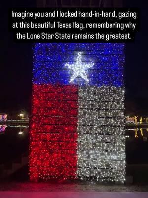 Everything’s bigger in Texas, even the holiday spirit. 🎄🇨🇱 #TexasFlag  #TexasChristmas #LoneStarState #HolidayLights #TexasForever #BigTexasEnergy #ChristmasInTexas #TexasPride #FestiveVibes