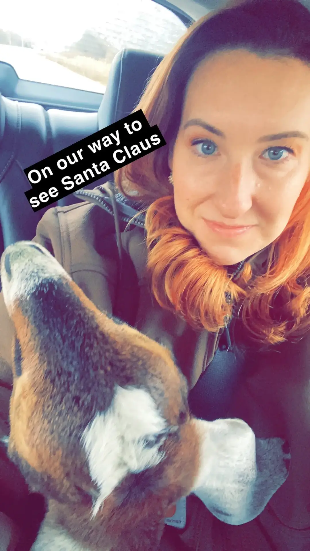 Twyla met Santa today! Thanks PetSmart for letting us come to this event today! #goats #hobbyfarmlife #santa #santaclaus #petphotos #goatkids #twyla #esa #holidays 