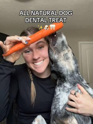 This is one of my favorite treats for my dogs and their dental health. However we still feed bones and duck feet very regularly and those help get the most plaque and tartar off. These are just a great treat and a great homemade dog chew!  #dogmom#dogmusthaves #dogdentalhygiene #dogteethcleaning #dogchew #dogtreat#frozencarrotsfordogs #homemadedogtreats #bonebrothbenefits 