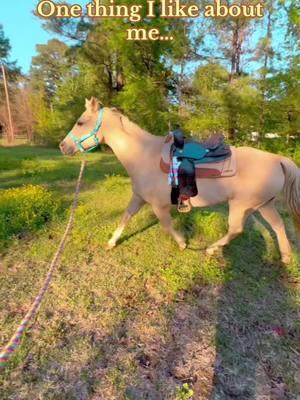 #sassythepalomino #queenpalomino #palominoqueen #palomino #horse #horses #horsesoftiktok #horsesontiktok #horsetok #horsetoker #equine #foryoupage #fyp 