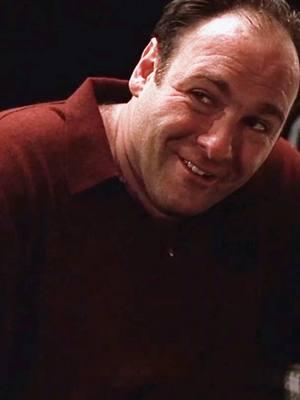 #thesopranos #sopranos #tonysoprano #hbo #hbomax #foryou #fyp 