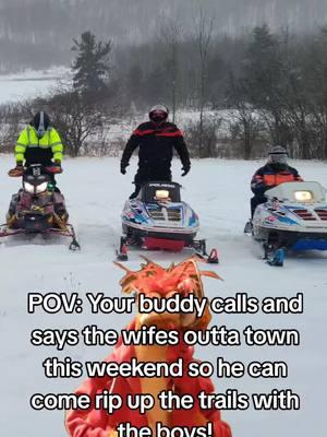 #CapCut #polarisxlt #polarisxc #polaris #greasytriples #snowmobile #snowmobilevideos #polarissnowmobiles #wedgelife #wedgelifedesigns #wedgelife98 #polarisindy 