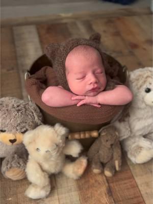 Sleepy little bear 🐻 #newbornphotos #newborn #photography #newbornphotographer 