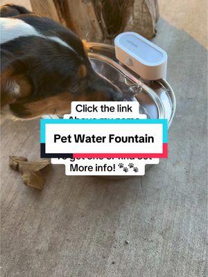 Does your pet have a water fountain?? #petfountain #waterfountain #dogfountain #catfountain #tiktokshopholidayhaul #holidayhaul #PetsOfTikTok 