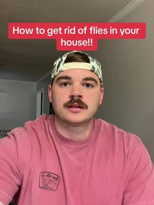 How to get rid of flies in your house! #flies #fly #bugs #hack #hacks #LifeHack #lifehacks #homehacks #homehack #tips #tipsandtricks #naturalremedy #hotbugguy #homeowner 