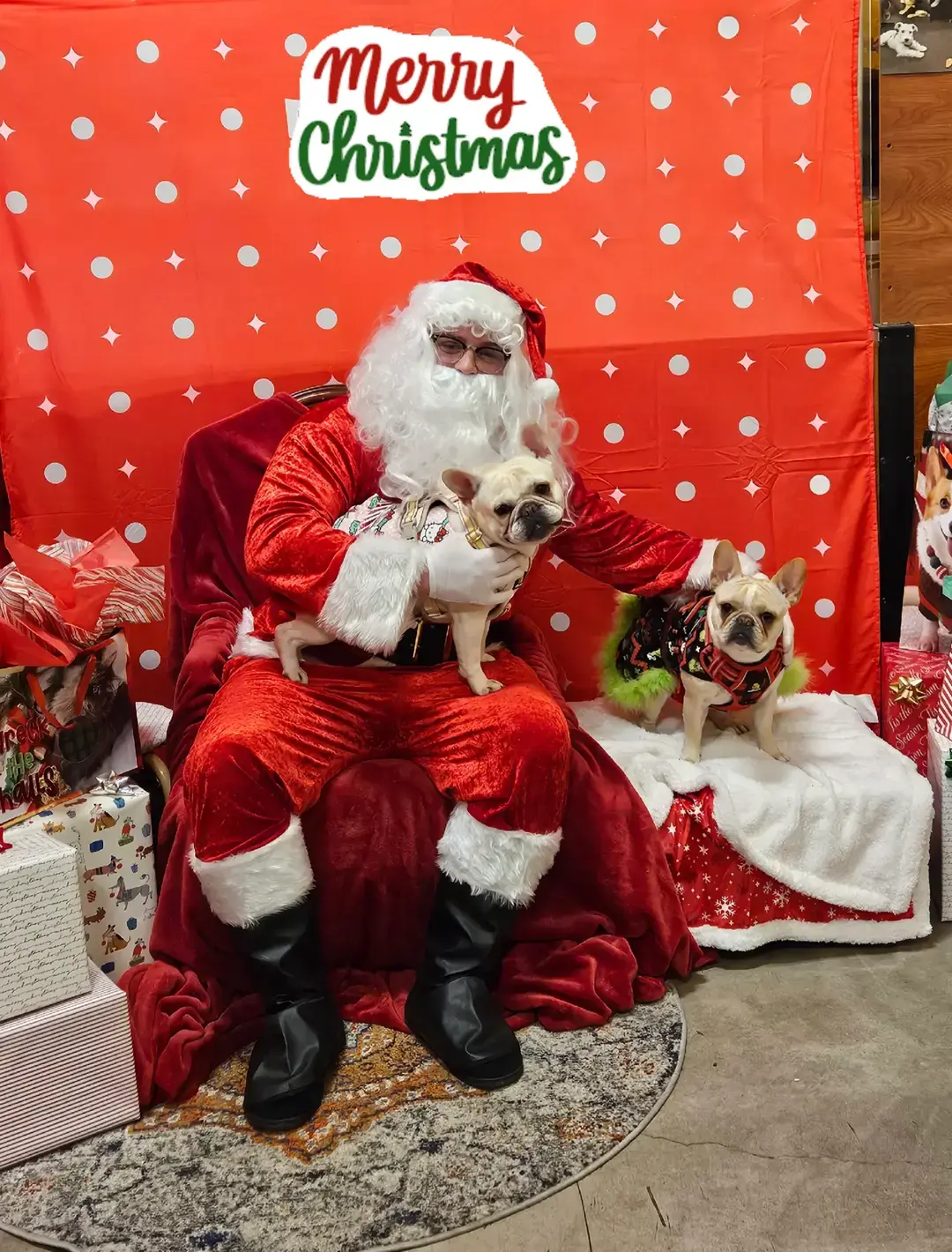 The Girls Saw Santa Today and They loved Him ⛄️#Christmas #santaphotos #santapictures #PetsOfTikTok #dogsoftiktok #dogtok #pettok #dogsoftiktok #christmas2024 #santa  #vanillaslife #vanillaandice 