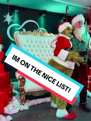 HA HE HA HE IM ON THE NICE LIST! #christmas #christmastiktok #grinchtiktok #grinch #grinchmas #green #nicelist #naughtylist #santa #santaclaus 