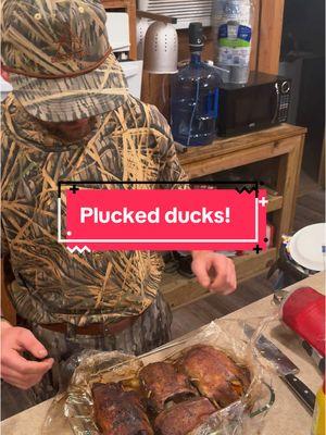 Plucked whole ducks! It was really good but we definitely cooked them too long! #ducks #mallards #gohunting #Outdoors #bucktok #greenheads #collegeeats #cooking 