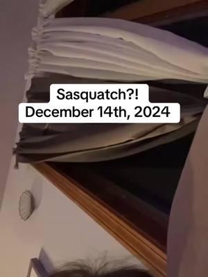 Turn your volume all the way up!!   What is that?! My sons gf recorded this tonight. #creepy #spooky #squatch #nh #newhampshire #northconway  #bigfoot #bigfootisreal #fyp #explorepage 