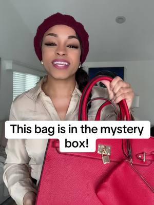 This is a mystery box bag and it can be your bag link below! #BagParty #BagObsessed #HolidaySale #MysteryBox 