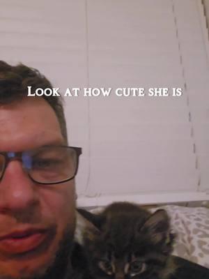 Day in my life. #petvlog #catvlog #cutecat #kittenvlog #dayinmylifevlog #dayinmylifevlogs#CapCut 