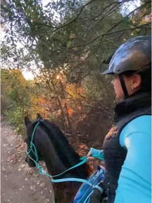 #letsride #sandiego #trailhorse #slomo #bitless #happytrails #hack #letsgo #pasofino #horsebackride #sandiego #california #sunset #ride 