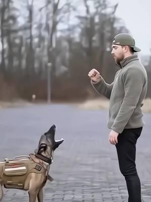 #k9 #dog #tactical #training #trending #dogsoftiktok #DogTraining #trainingdog #LIVEReason #LIVEIncentiveProgram #PaidPartnership 