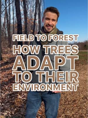 🌳 How Trees Adapt to Their Environment 🌿 Ever noticed how a lone tree grows differently from one in a forest? In an open field, a tree spreads wide and sturdy to face strong winds. But in a forest, it stretches tall, competing for sunlight while relying on neighboring trees for wind protection and root support. When forests are cleared, trees left behind lose their natural community and stand exposed to harsh winds. Trees, like us, thrive with support. What do you think—does a tree grow better alone or in a forest? Let’s chat in the comments! 🌲✨ 🌟 Love learning how nature works? Follow this page for more stories about the incredible ways the natural world thrives! 🌿 #TreeGrowth #ForestEcology #NatureCommunity #SupportSystems #EnvironmentalAdaptation #TreesOfInstagram #NatureLovers #PlantScience #NatureEducation #ForestSupport #SustainableForests #naturalist