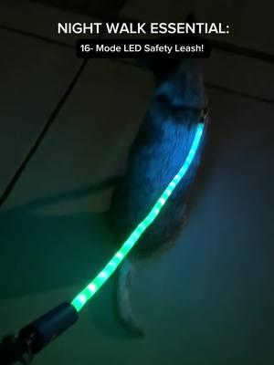 Light up your walks and stay safe! 🐾 Grab this rechargeable LED leash now on TikTok Shop before it’s gone! #dogsoftiktok #doglover #dogmom #blueheeler #australiancattledog #musthaves #pets #PetsOfTikTok #dogowner #dogmusthaves #petmusthaves #nightwalk #ledlights #tiktokshopfinds #womensafety 