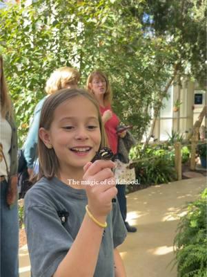 I hope it stays with her forever. #butterflies #butterflygarden #naturelover #butterfly 