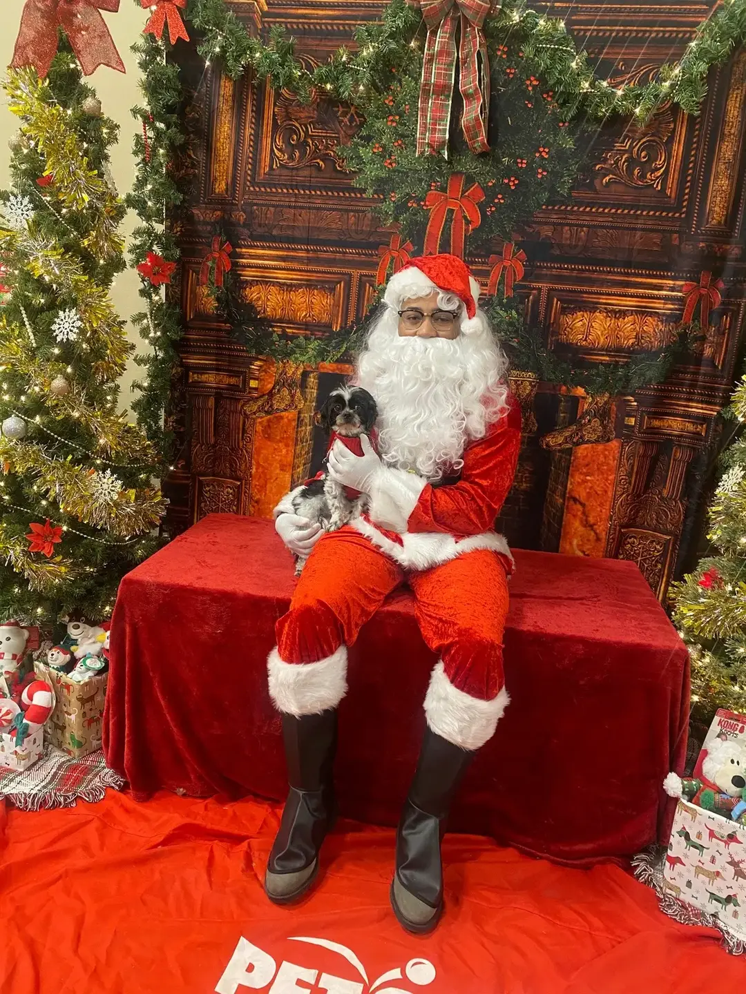 Santa claus pictures! 🐶🐾🦴🎅🏽#likeforlike #viral #petsmartsantaphotos 