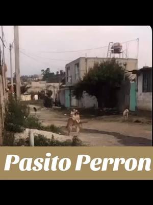 #peruanosenlosangeles #peruanosenargentina🇵🇪🇦🇷 #peruanosenitalia🇵🇪❤️🇮🇹 #viralperu #fyp #peruanotiktoker🇵🇪 #viralvideos #peruanosenelextranjero #peruanotiktoker🇵🇪 #peruanosenjapon🇵🇪🇯🇵 #tiktokperuano #peruanosencalifornia 