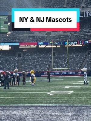 Can you spot your team’s mascot? #metlife #metlifestadium #mascot #mascotastiktok #mascots #mets #devils #islanders #devils #rutgers 