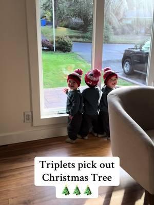 A little tree this year will do 😂 #identicaltriplets #triplets #tripletsoftiktok #christmas #christmastree #toddler #mom #MomsofTikTok #moms #dad #dadsoftiktok #parents #twins 