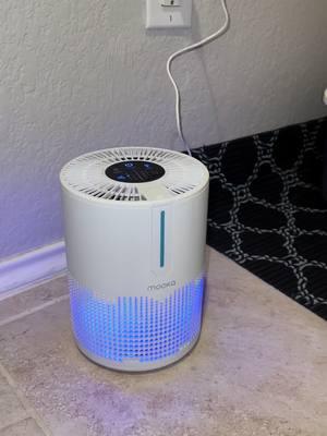 $20!!! It will help clean your air from all the bacteria & odor where the littler box is! It’s a game changer!! Oh & make your house smell better #airpurifier #petodoreliminator #airduffuser #catsoftiktok #catlitterboxhack #CleanTok #mookaairpurifier #cleaninghacks 