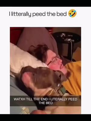 Funny and cute dogs compilation 🤣 🥰#funnydog #funnypet #cutedog #dogoftiktok #doglover #dog 