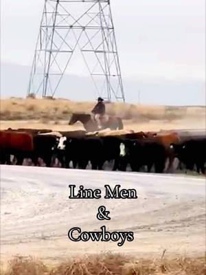 #thejillysue #kindnessinfluencer #mylife #adayinmylife #linewife #onehellofalife #linemen #cowboys #spendthedaywithme #working #linelife #oregon #scenery #neveradullmoment #taketimetoenjoy #littlemoments @stangrayones 