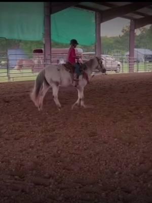 Pony Pro Morgan Jo shows us how she fine tunes her pony before a barrel race!  #ponypro #performanceponycompany #rodeo #drills 