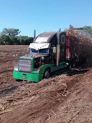 🥷💚🖤😎 #camionesdeelsalvador🇸🇻💎 #😎🔥😎 #zafra24_25 #camioneshermosos #viral #parati #amantedelavelocidad #rastrascañeras #cargadorasdecaña #transortepesado #camionesdeelsalvador 