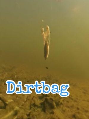 Dirt Bag is arguably our most popular color for good reason. All Natural and great for any fishery. #tacticalfishingco #fishtok #fishingtiktoks #underwater #bassfishingtiktok #bassfishing #largemouth #matchthehatch 